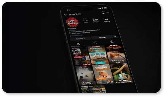 Rocky Pet World social content presented on a phone.
