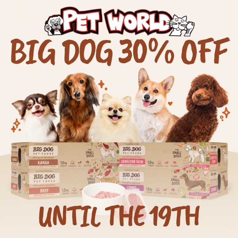 Big Dog frozen-food promotion featuring the product range and dogs.