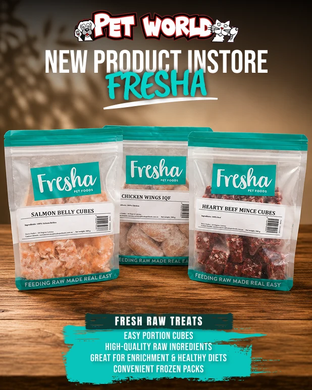 Fresha frozen pet treats presented in a product arrival campaign.