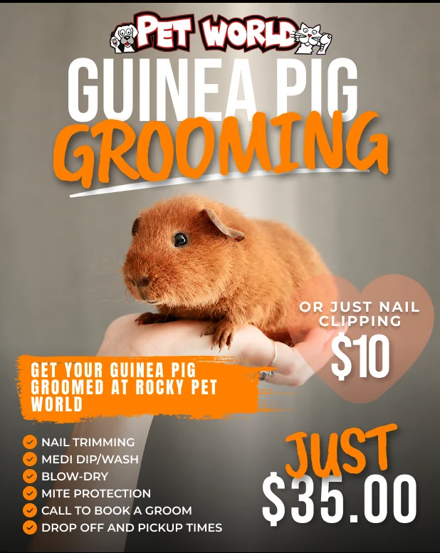 Guinea pig grooming campaign featuring the store service and animal imagery.