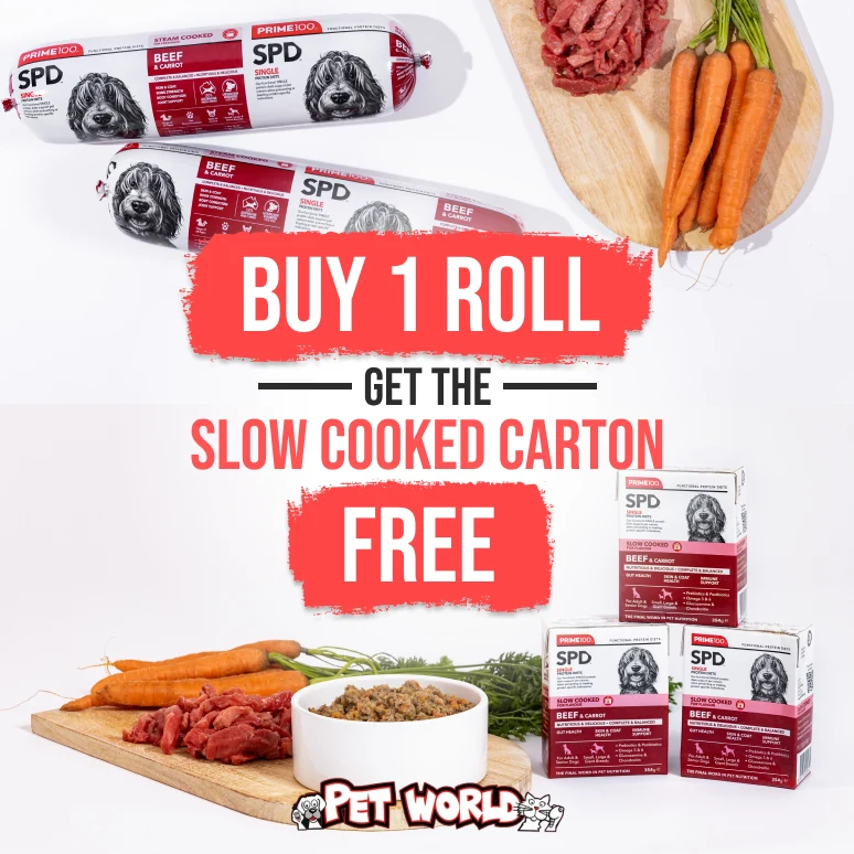 Prime100 product bundle campaign with red offer typography on white.