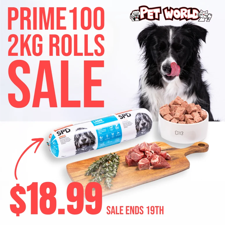 Prime100 rolls promotional artwork with product and ingredient presentation.